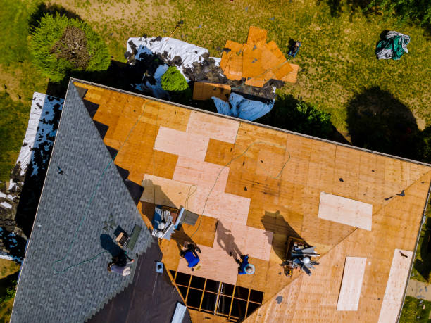 Best Roof Gutter Cleaning  in Thatcher, AZ