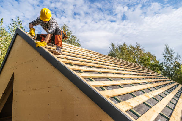 Best Metal Roofing Contractor  in Thatcher, AZ