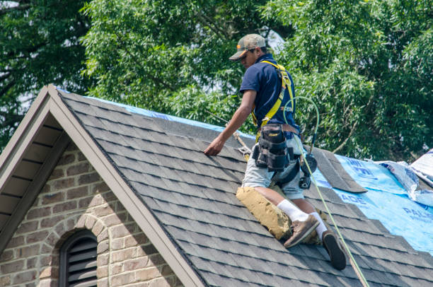 Best Storm Damage Roof Repair  in Thatcher, AZ
